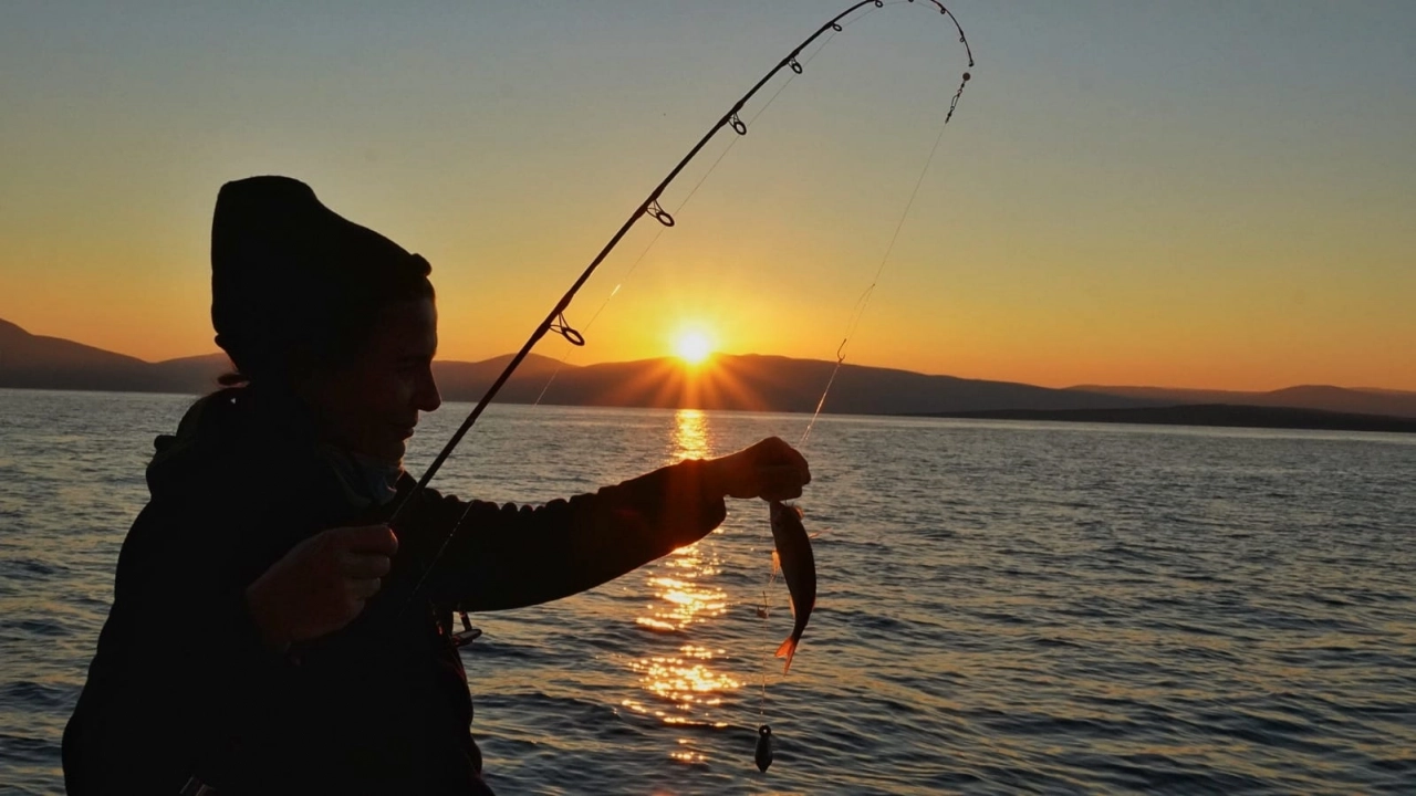 Çeşme’de Balıkçılık ve Balık Türleri